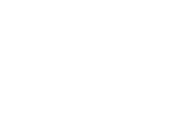 Newton's Attic Logo